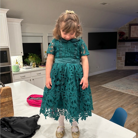 Trish Scully Emerald Evangelina Dress Size 5 - Picture 7 of 8